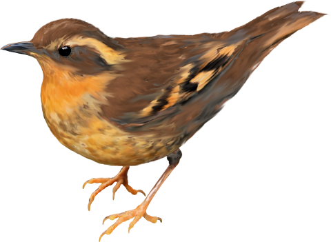 őszi állatok_132.png